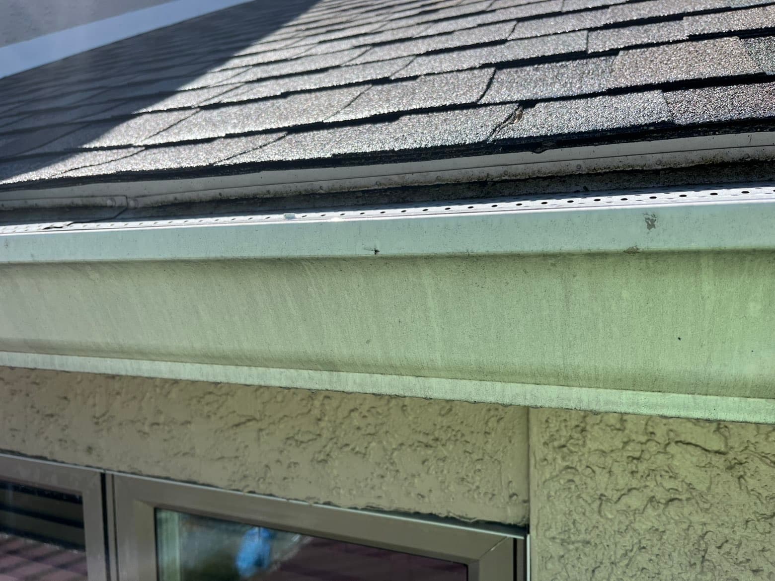 Gutter Cleaning - Before